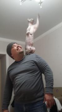 Андрей
